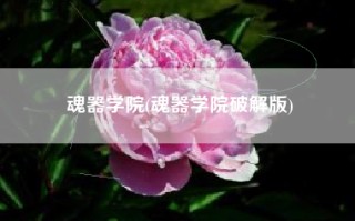 魂器学院(魂器学院破解版)