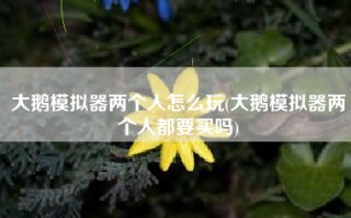 大鹅模拟器两个人怎么玩(大鹅模拟器两个人都要买吗)