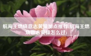 航海王燃烧意志黄猿加点推荐(航海王燃烧意志黄猿怎么过)