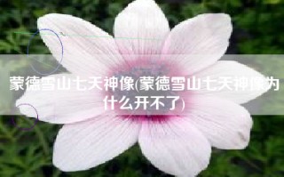 蒙德雪山七天神像(蒙德雪山七天神像为什么开不了)