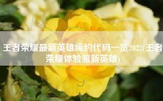王者荣耀最新英雄缔约代码一览2022(王者荣耀体验服新英雄)
