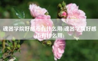 魂器学院好感币有什么用(魂器学院好感币有什么用)