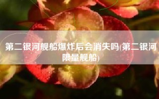 第二银河舰船爆炸后会消失吗(第二银河限量舰船)