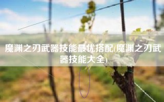 魔渊之刃武器技能最优搭配(魔渊之刃武器技能大全)
