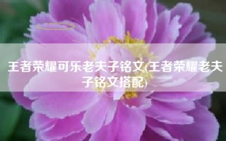 王者荣耀可乐老夫子铭文(王者荣耀老夫子铭文搭配)