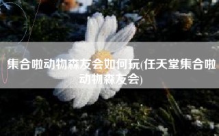 集合啦动物森友会如何玩(任天堂集合啦动物森友会)