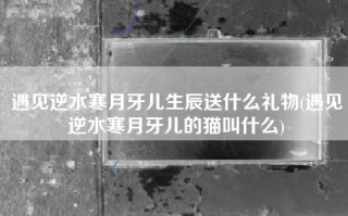遇见逆水寒月牙儿生辰送什么礼物(遇见逆水寒月牙儿的猫叫什么)