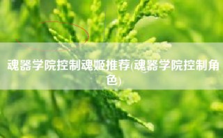 魂器学院控制魂姬推荐(魂器学院控制角色)