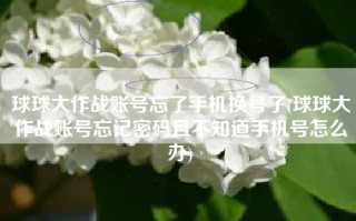 球球大作战账号忘了手机换号了(球球大作战账号忘记密码且不知道手机号怎么办)