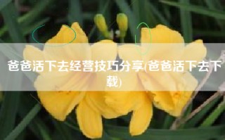 爸爸活下去经营技巧分享(爸爸活下去下载)