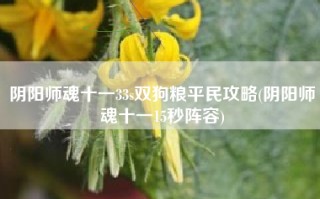 阴阳师魂十一33s双狗粮平民攻略(阴阳师魂十一15秒阵容)