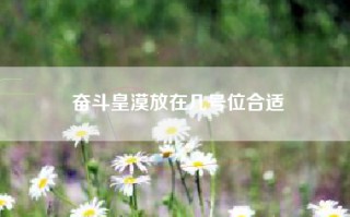 奋斗皇漠放在几号位合适