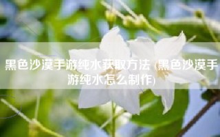 黑色沙漠手游纯水获取方法 (黑色沙漠手游纯水怎么制作)