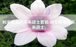 和平精英的未来战士套装(和平精英的未来战士)