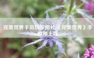 完美世界手游玩家图片,《完美世界》手游刚上线