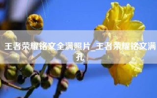 王者荣耀铭文全满照片_王者荣耀铭文满孔