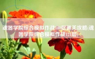 魂器学院综合模拟作战100层通关攻略(魂器学院综合模拟作战121层)