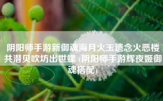 阴阳师手游新御魂海月火玉遗念火恶楼共潜贝吹坊出世螺 (阴阳师手游辉夜姬御魂搭配)