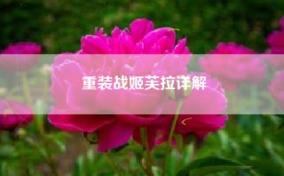 重装战姬芙拉详解
