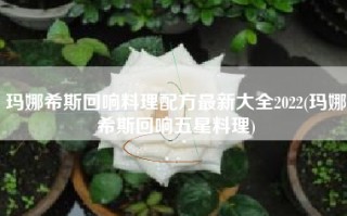 玛娜希斯回响料理配方最新大全2022(玛娜希斯回响五星料理)