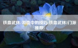 铁血武林2游戏中的技巧(铁血武林2门派推荐)