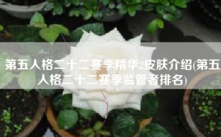 第五人格二十二赛季精华2皮肤介绍(第五人格二十二赛季监管者排名)