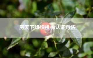 房天下组织机构认证方法