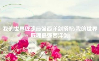 我的世界匠魂最强西洋剑搭配(我的世界匠魂最强西洋剑)