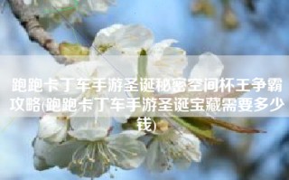 跑跑卡丁车手游圣诞秘密空间杯王争霸攻略(跑跑卡丁车手游圣诞宝藏需要多少钱)