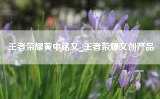 王者荣耀黄中铭文_王者荣耀文创产品