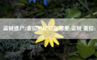 盗贼遗产2麦拉的记忆在哪里(盗贼 麦拉)