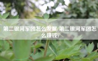 第二银河军团怎么发展(第二银河军团怎么赚钱)