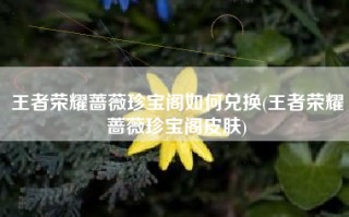 王者荣耀蔷薇珍宝阁如何兑换(王者荣耀蔷薇珍宝阁皮肤)