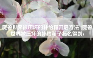 魔兽世界被压坏的补给箱开启方法 (魔兽世界被压坏的补给箱子怎么得到)
