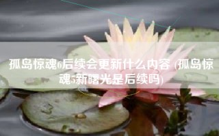 孤岛惊魂6后续会更新什么内容 (孤岛惊魂5新曙光是后续吗)
