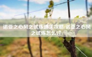 诺亚之心风之试炼通关攻略(诺亚之心风之试炼怎么过)