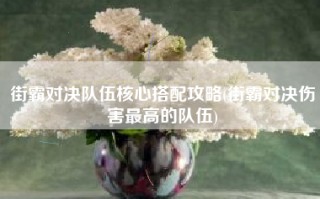 街霸对决队伍核心搭配攻略(街霸对决伤害最高的队伍)