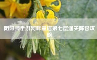 阴阳师手游河畔童谣第七层通关阵容攻略