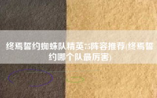 终焉誓约蜘蛛队精英75阵容推荐(终焉誓约哪个队最厉害)