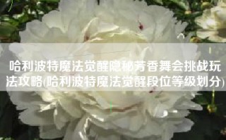 哈利波特魔法觉醒隐秘芳香舞会挑战玩法攻略(哈利波特魔法觉醒段位等级划分)