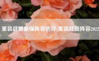 重装战姬最强阵容选择(重装战姬阵容2022)