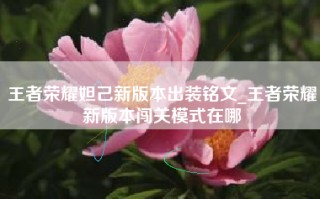 王者荣耀妲己新版本出装铭文_王者荣耀新版本闯关模式在哪