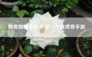 传奇国服手游,不出一个真传奇手游