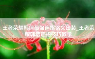 王者荣耀韩信最强连招铭文出装_王者荣耀韩信连招技巧教学