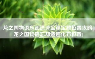 龙之国物语忘却遗迹宝箱宝藏位置攻略(龙之国物语忘却遗迹化石位置)