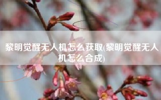 黎明觉醒无人机怎么获取(黎明觉醒无人机怎么合成)