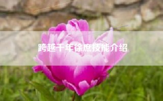 跨越千年徐庶技能介绍