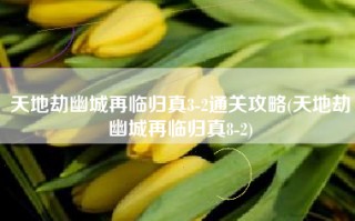 天地劫幽城再临归真3-2通关攻略(天地劫幽城再临归真8-2)