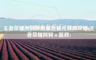 王者荣耀阿轲夜隐暮色星元获得攻略(王者荣耀阿轲×嬴政)
