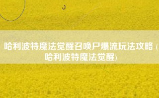 哈利波特魔法觉醒召唤尸爆流玩法攻略 (哈利波特魔法觉醒)